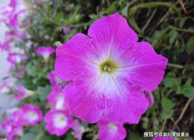 imtoken地址无效-imToken钱包转账地址无效解决方法分享,遇到问题不要慌张,冷静寻找解决方案(图2) 无效地址限制规则_imtoken地址无效_无效地址限制规则校验不通过