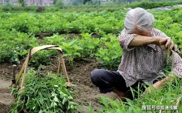 tp钱包提币未到账_钱包提币到交易所多久到账_钱包提币怎么提