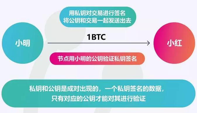tp钱包密钥丢了_tp钱包密钥忘了_钱包密钥是什么意思