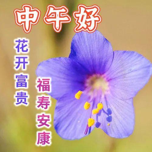 孤儿怨2_孤儿怨2_孤儿怨2