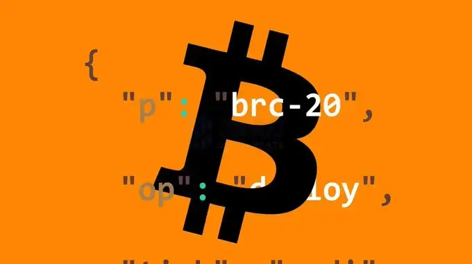钱包与钱包之间转币_币安的钱怎么转到tp钱包_钱包怎么转币