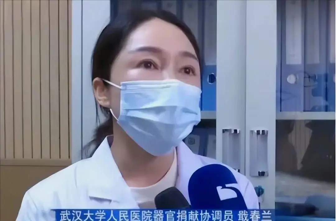 钱包被偷又找回来了_chia钱包被盗_tp钱包资产被盗怎么找回