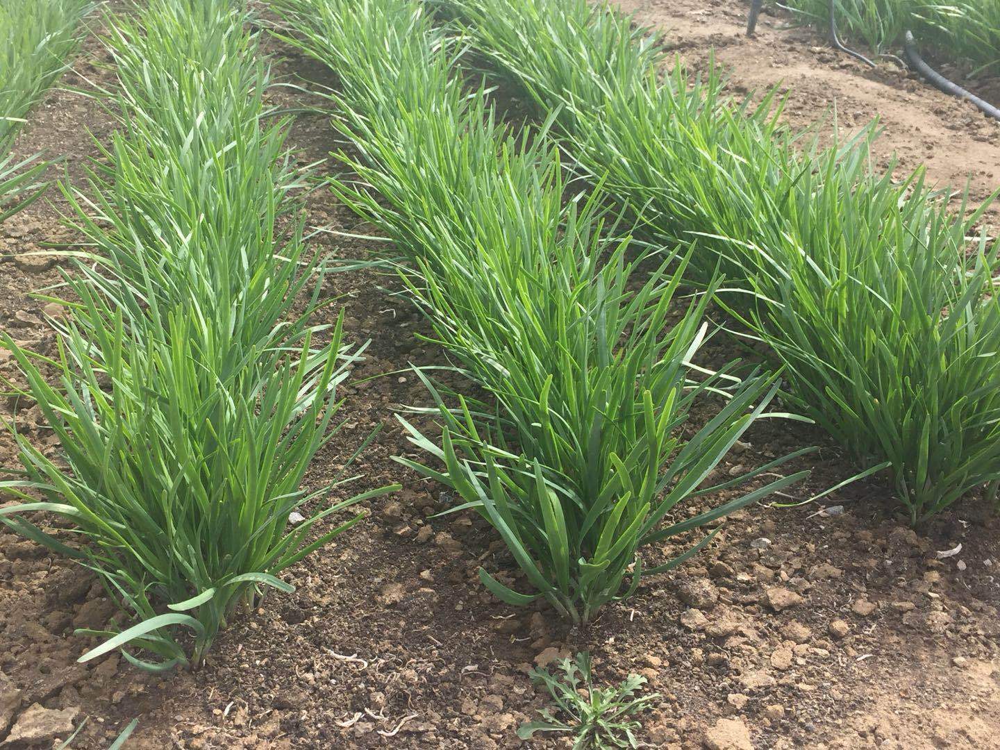 tp钱包如何买babydoge-如何在TP钱包购买BabyDoge?详细操作流程及注意事项(图1) 钱包买什么颜色的最守财_tp钱包如何买babydoge_钱包买什么颜色的好