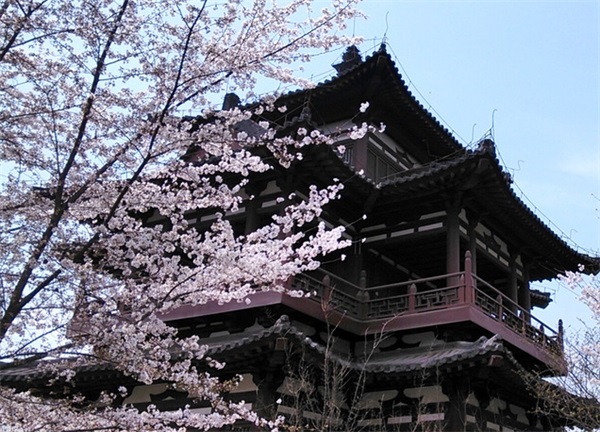 吉野_吉野家土豆泥的做法_吉野顺平