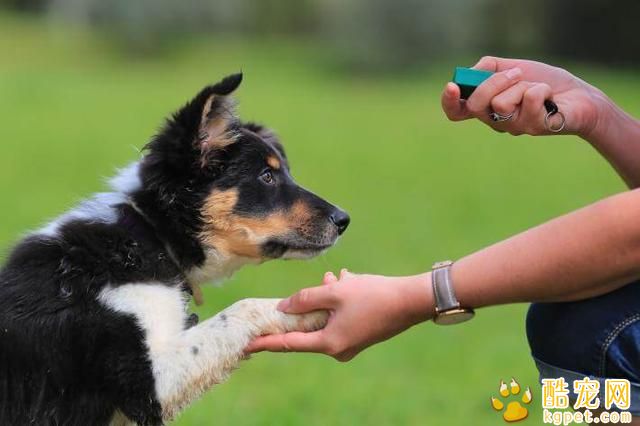 犬饲_犬饲_犬饲