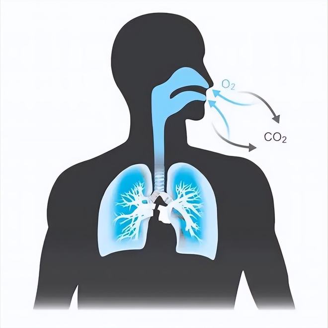 缺氧wiki_缺氧wiki是那个_缺氧wiki中文