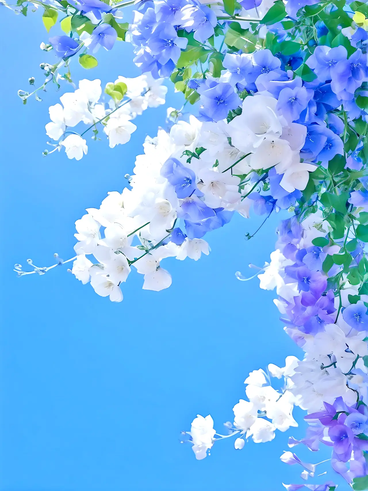 花 手机游戏_手机花牌游戏大厅_花牌手机游戏