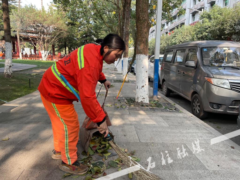 清理垃圾王软件_垃圾清理王_清理垃圾王子