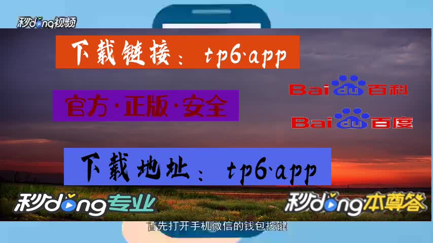 钱包授权了挖矿安全吗_钱包授权是什么意思_tp钱包怎么授权别人