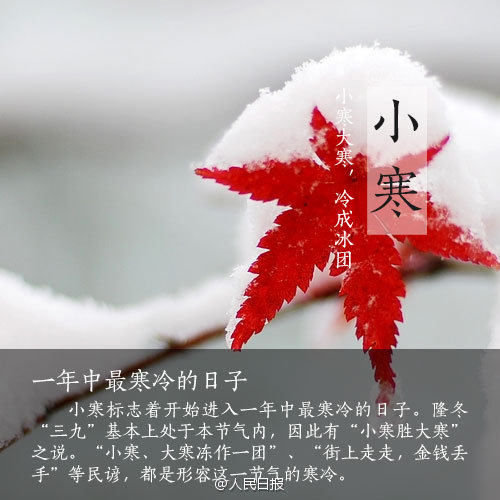小寒的推文_小寒推文_关于小寒的微信推文