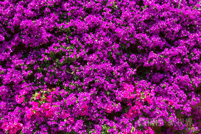 tp钱包官网地址是多少-寻找 tp 钱包官网地址:普通数字货币爱好者的焦急之旅(图3) trust钱包地址_trx钱包地址_tp钱包官网地址是多少