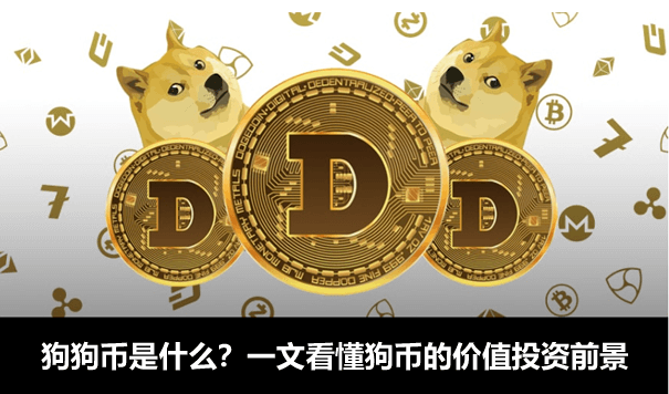 tp钱包找不到狗狗币的合约_狗狗币tp钱包合约地址_狗狗币合约地址查询