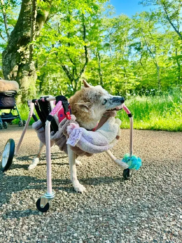 钱包买啥颜色招财_tp钱包怎么买babydoge_钱包买什么颜色的好女