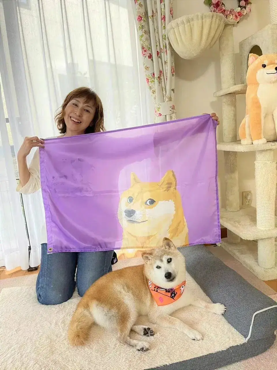 钱包买币和交易所买币的区别_tp钱包怎么买minidoge_钱包买红色的好吗