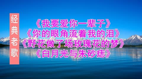 红色玫瑰手机游戏_玫红色游戏机壁纸_玫瑰红色手机壁纸