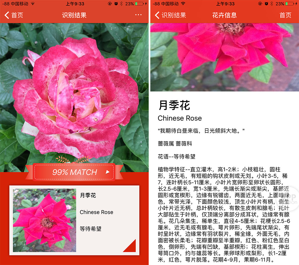 imtoken 离线转账_imtoken离线签名_imtoken离线转在线