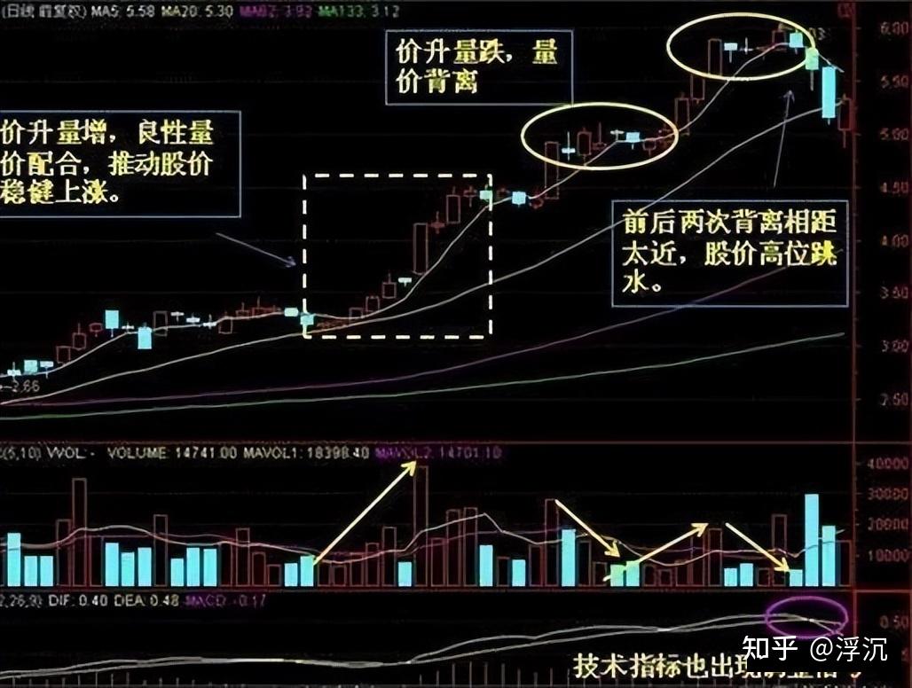 收益看单位净值还是累计净值_imtoken怎么看收益_收益看看卡