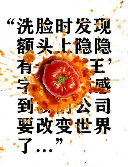 锤子商城_锤子商城官方旗舰店_锤子商城官网为什么还在