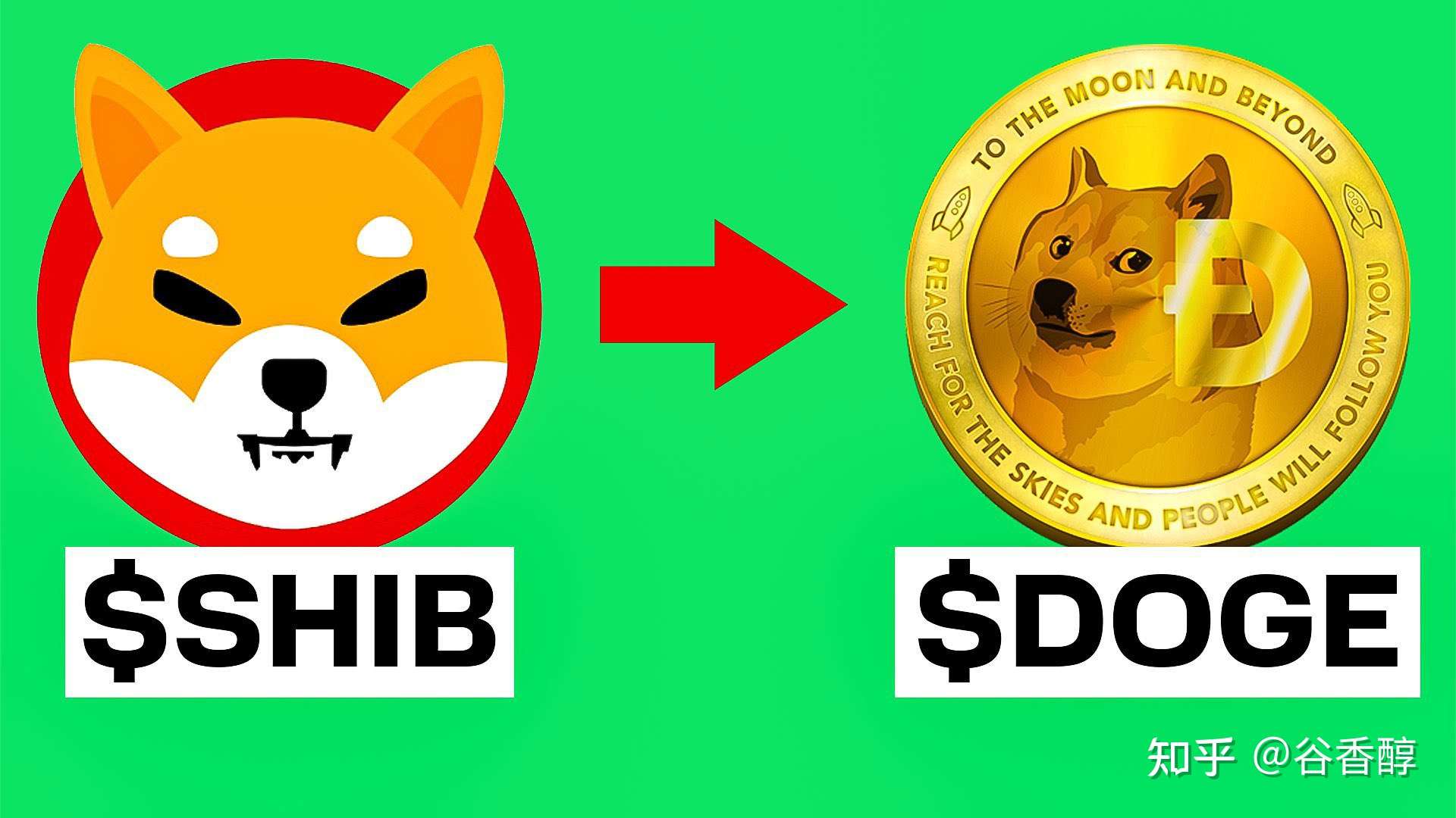 tp钱包doge_doge_钱包英语