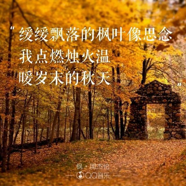 结香又叫什么名字_广濑结香_结香又名什么