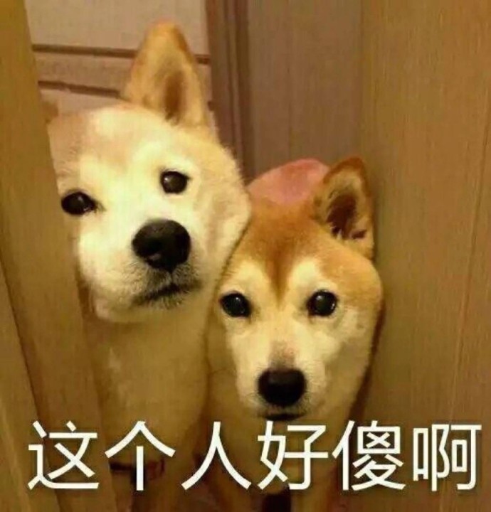 qq表情怎么弄到微信上_微信表情包弄到qq表情_微信表情弄到qq表情
