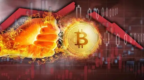 钱包官网下载_imtoken官网钱包2.0_钱包官网imtoken