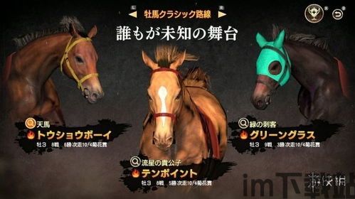 赛马大亨交流群,赛马爱好者的聚集地(图3) 赛马大亨交流群,赛马爱好者的聚集地(图3)