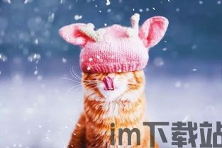 童话 真实世界 探索,童话与真实世界的交织(图6) 童话 真实世界 探索,童话与真实世界的交织(图6)