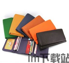 Usdt冷钱包热钱包,安全与便捷的平衡之道(图2)