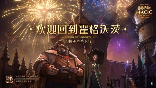 哈里波特:魔法觉醒 游戏介绍,游戏概述(图5) 哈里波特:魔法觉醒 游戏介绍,游戏概述(图5)
