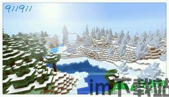 我的世界1.12.2雪地高山,00271俺去她(图6) 我的世界1.12.2雪地高山,00271俺去她(图6)