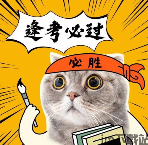 i问财安卓版(图4) i问财安卓版(图4)