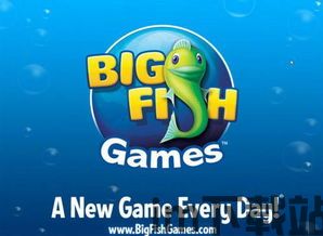 bigfish games,examoralbigfishaicom机考登录(图1) bigfish games,examoralbigfishaicom机考登录(图1)