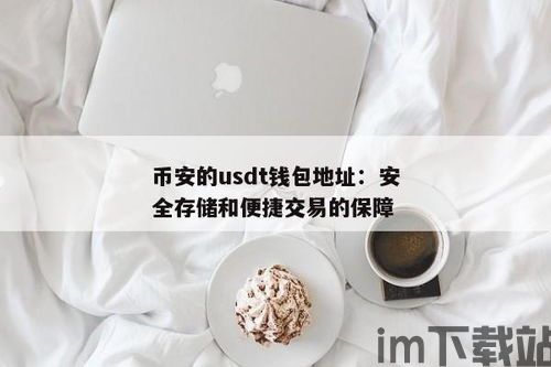 usdt钱包安全连接,USDT钱包安全连接指南(图1)