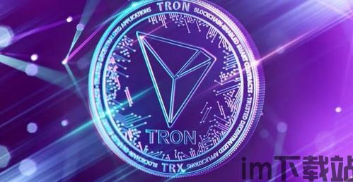 钱包里的usdt怎么转化trx,钱包里的USDT如何转化TRX?详细指南(图4) 钱包里的usdt怎么转化trx,钱包里的USDT如何转化TRX?详细指南(图4)