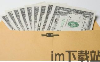 假如比特币成为一种货币,假如比特币(图2)