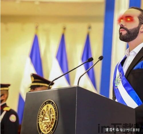 德国法律认可的比特币,开放与监管的完美结合(图1)