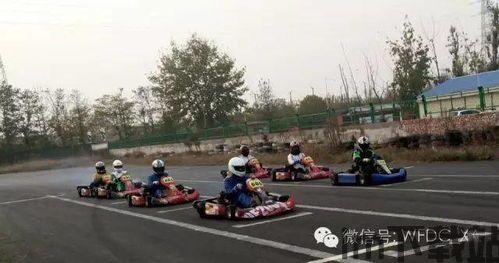 飙车体验项目,解锁海上飙车新体验(图3) 飙车体验项目,解锁海上飙车新体验(图3)