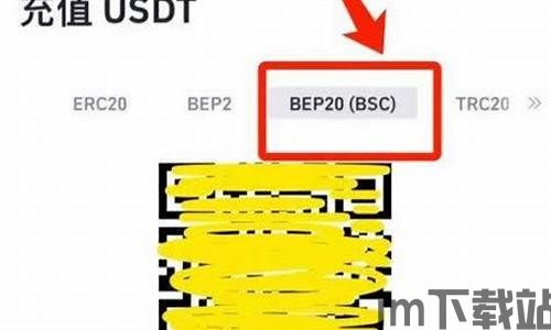 波场里的usdt怎么转到冷钱包,波场（TRON）中的USDT如何安全转入冷钱包(图4)