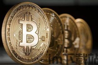 比特币出土(图1) 比特币出土(图1)