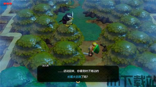 塞尔达传说织梦岛npc,游戏中的灵魂伴侣(图1) 塞尔达传说织梦岛npc,游戏中的灵魂伴侣(图1)