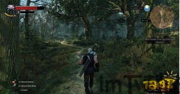 巫师3 最新dlc,狂猎-血与酒——探索新世界的冒险之旅(图5)