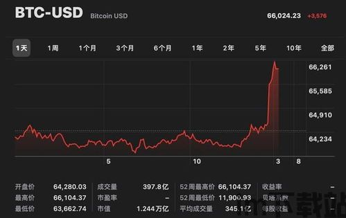 比特币二十位数,揭秘数字货币的里程碑(图6)