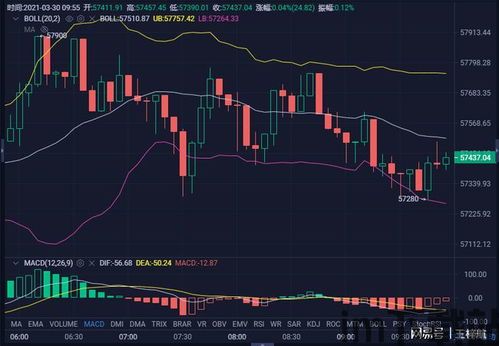 比特币割完空头割多头,割完空头，多头再起风云(图4)