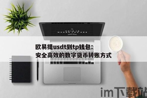 欧易usdt提币到tp钱包,欧易USDT提币到TP钱包的详细教程(图5) 欧易usdt提币到tp钱包,欧易USDT提币到TP钱包的详细教程(图5)