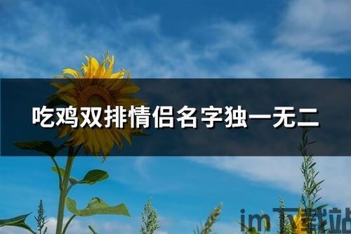 康创意境相机手机app移动客户端下载 (图2)