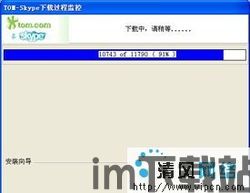 中国与skype对应的产品是谁,TOM-Skype的崛起与变迁(图2)