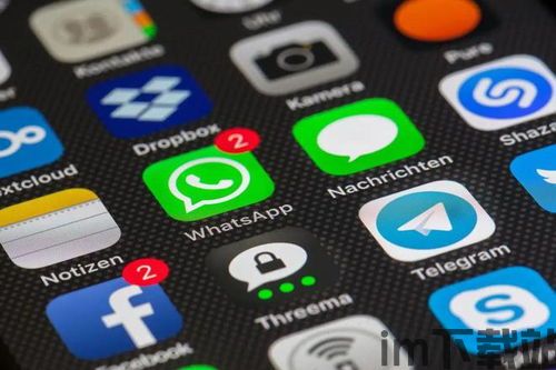 找外贸客户whatsapp,高效拓展海外市场(图11)