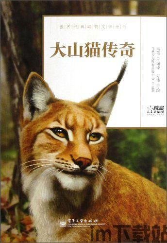 大山猫空间,探索自然与生活的完美融合(图3)