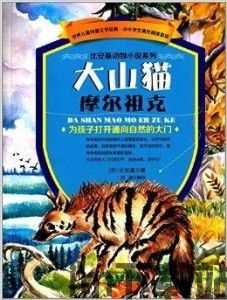 大山猫空间,探索自然与生活的完美融合(图4)